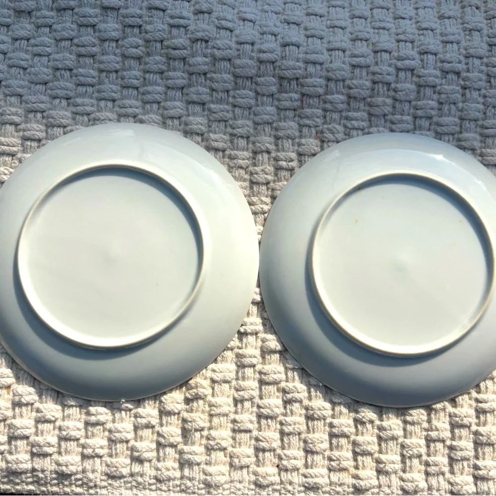 Two Vintage Salad Plates Andrea By Sadek Floral Botanical 7 1/2